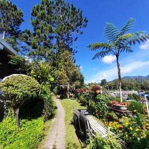 un parque con un banco, flores y una palmera en The Backyard Glamping Cameron Highlands, en Tanah Rata