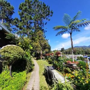 a park with a bench and flowers and a palm tree at The Backyard Glamping Cameron Highlands in Tanah Rata