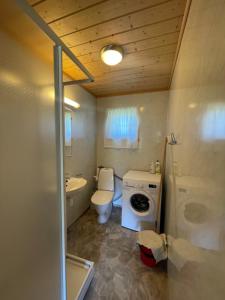 uma casa de banho com um WC e uma máquina de lavar roupa em Bjørgo Gard - Stegastein em Aurland