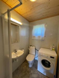 a bathroom with a toilet and a sink and a washing machine at Bjørgo Gard - Stegastein in Aurland