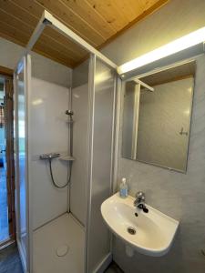 a bathroom with a sink and a shower with a mirror at Bjørgo Gard - Stegastein in Aurland