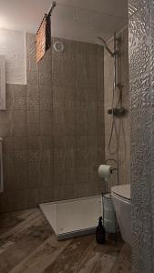 y baño con ducha, aseo y lavamanos. en Apartamenty 3 Pory Roku, en Komarno