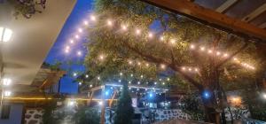 Fotografie z fotogalerie ubytování Mamin Kolio v destinaci Bansko + 37 fotografií