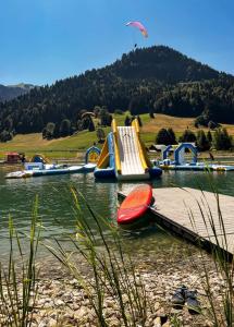 un parque acuático con un tobogán en el agua en Charmant Studio Duplex 26m2 à la montagne, en Praz-sur-Arly