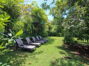 a row of chairs sitting in the grass at Amazing Villa with Pool 5 mins from Beach - Palm Grove 1 home in Saint Peter