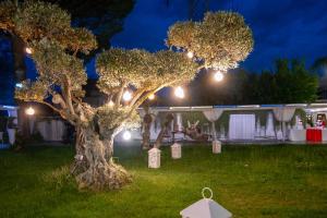 un árbol con luces en un patio por la noche en Hotel Imperiale, en Terzigno 53 fotos más