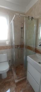 e bagno con doccia, servizi igienici e lavandino. di Michali's Koukaki Apartment (metro Sygrou/Fix) ad Atene