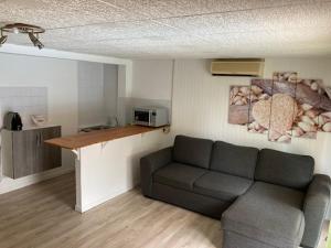 Il comprend un salon avec un canapé et une cuisine. dans l'établissement L’appartement du Micocoulier, à Salon-de-Provence