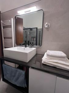 uma casa de banho com um lavatório branco e um espelho. em La Vita em Ravascletto
