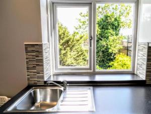 eine Küche mit einem Waschbecken und einem Fenster in der Unterkunft The Lily Aparts in London