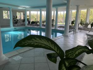 a swimming pool with a plant in the foreground at Albergo Le Case in Macerata