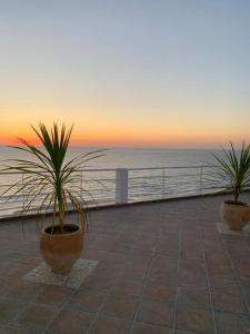 Imagen de la galería de Chez Reda, en Asilah