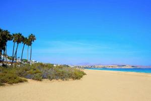 a sandy beach with palm trees and the ocean at Costa Calma Apartment OASIS in Costa Calma