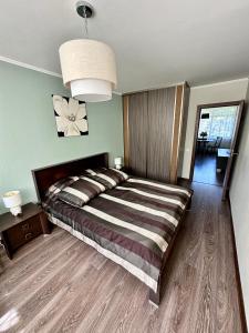 Katil atau katil-katil dalam bilik di Apartment in Jurmala with balcony