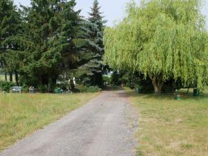 un camino de tierra en un campo con árboles en Ferienwohnung auf dem Land, en Mellenthin