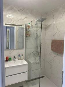 a bathroom with a shower and a sink and a shower at Beautiful Villa near Medjugorje in Služanj