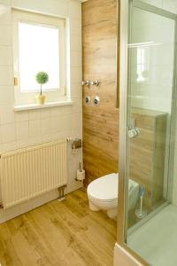 a bathroom with a toilet and a window at Ferienwohnungen Kariba und Sammy in Neddesitz