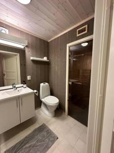 La salle de bains est pourvue de toilettes, d'un lavabo et d'une douche. dans l'établissement Hytte med flott utsikt, à Beitostøl