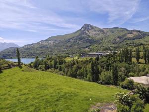 ein grünes Feld mit einem Berg im Hintergrund in der Unterkunft Casa El Paco - tucasaenlospirineos in Sallent de Gállego