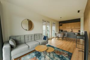 Kuchyň nebo kuchyňský kout v ubytování Apartament BIRDS SurfingBird Dźwirzyno