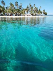 an island in the ocean with palm trees in the background at Gunayar amazing in Arritupo Número Dos