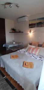 Rosy Apartman 8314 Vonyarcvashegy, 1 Arany János utca kép - 2