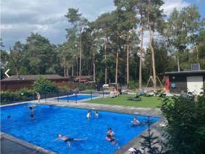 a group of people in a swimming pool at Blue Artist chalet Veluwe in Doornspijk
