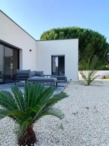 a house with a palm tree in the yard at Villa chic 3 chambres ,2 SDB in Châtellerault