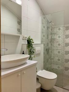 a bathroom with a sink and a toilet and a shower at Ponte Paradiso Apartment in Mostar