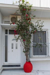 a red vase with a plant in front of a door at ΠΙΘΟΣ ΕΝΟΙΚΙΑΖΟΜΕΝΗ ΚΑΤΟΙΚΙΑ in Kalamata