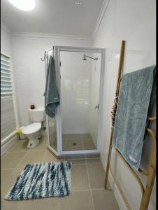 a bathroom with a shower and a toilet and a rug at Home in mission beach in Mission Beach
