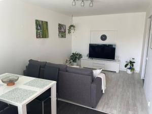 sala de estar con sofá y TV en In Helsinki and super easy to Airport and City Center and a private free parking, en Helsinki