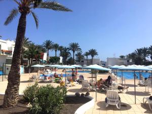 een strand met een palmboom en stoelen en parasols bij MARIPOSA en Frontera/Primavera in Costa Del Silencio