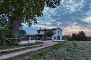 a house in a field with a tree at Country Rooms & Suite La Quercia in Coriano