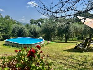 a swimming pool in the middle of a yard at Podere il Casone in Serravalle Pistoiese