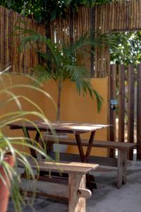 a picnic table and a palm tree in front of a fence at Casa Makech in Valladolid +18 photos