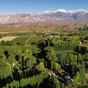 an aerial view of a field with trees and mountains at Cabaña en Alta Montaña - Complejo Cabañas del Pastizal - USPALLATA, MENDOZA in Uspallata