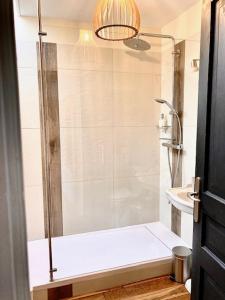 una ducha con una puerta de cristal junto a un lavabo en La Maison du Palmier, en La Rochelle