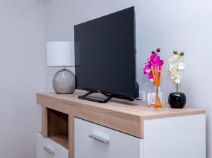 a tv sitting on top of a table with flowers at Apartmani Jezero in Konjic