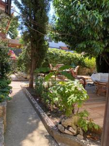 a garden with chairs and a table and a tree at Satmar in Lozenets