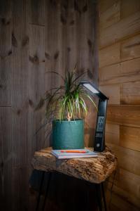 Fotografie z fotogalerie ubytování Lofoten Green Studio v destinaci Ramberg