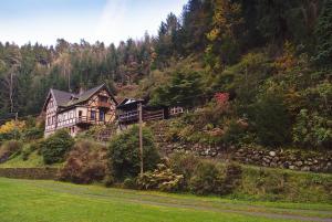 a large house on the side of a hill at Appartmenthaus Wartburg in Bad Schandau