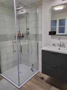 uma casa de banho com uma cabina de duche em vidro e um lavatório. em Agréable studio avec cour à 10mn de Fontainebleau em Héricy
