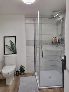uma casa de banho com uma cabina de duche em vidro e um WC. em Agréable studio avec cour à 10mn de Fontainebleau em Héricy