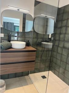 uma casa de banho com um lavatório e um espelho em CHAMBRE COSY em Santa-Lucia-di-Moriani
