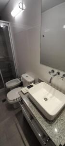 La salle de bains est pourvue d'un lavabo, de toilettes et d'un miroir. dans l'établissement TECNICOLOR MENDOZA, à Mendoza