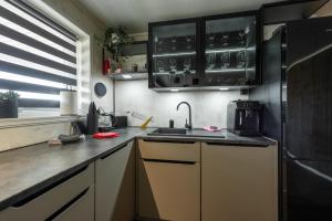 Kuchyň nebo kuchyňský kout v ubytování Lofoten Green Studio