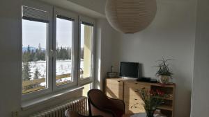 salon z 2 oknami i stołem z krzesłami w obiekcie BEST MOUNTAIN VIEIW APARTMENT w Szczyrbskim Plesie