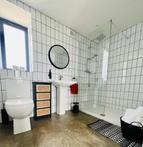 a bathroom with a toilet and a shower and a sink at Springmount Accommodation in Dromara