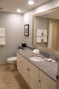 a bathroom with a sink and a toilet and a mirror at Innisbrook Resort in Palm Harbor